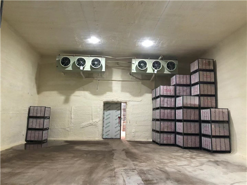 开云(中国)苹果冷库安装案例