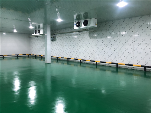 开云(中国)蔬菜保鲜库 开云(中国)蔬菜保鲜库